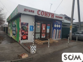 Продаю дом + магазин