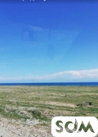 Продаю земельный участок 5 соток, Иссык-Куль, б/п