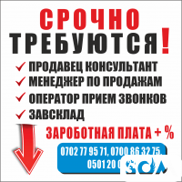 Продавец консультант