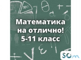 Тамара Гавриловна. Математика на отлично! С 5 по 11 класс!