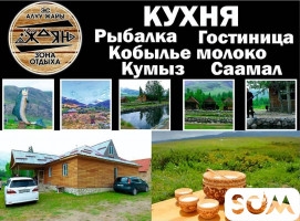 Кумысолечение! Недалеко от курорта Ысык-Ата! На живописной природе!