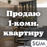 Продаю 1-комнатную квартиру, Московская/К.Акиева, 35 000 $, б/п