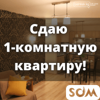 Сдаю 1-комнатную квартиру, Советская/Боконбаева, б/п