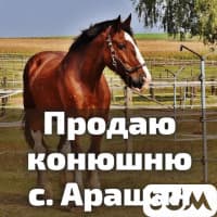 Продаю конюшню на 2-й линии, участок 8 соток, село Арашан, б/п