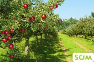 Продаю участок