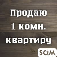 Продаю 1-комнатную квартиру, гостиничного типа, Ворошилова, Аламедин-1