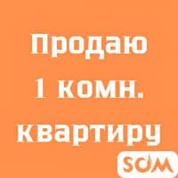 Продаю 1-комнатную квартиру, ТЭЦ, 25 000 $, б/п