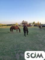 Продаю действующий бизнес - Бассейн суточного регулирования. Рыба