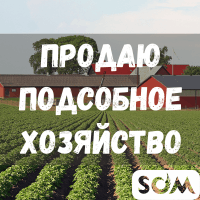 Продаю подсобное хозяйство + 9,2 ГА земли, с. Жаны-Жер, б/п