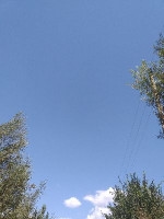 Ош шаарынан 2кызга жумуш керек